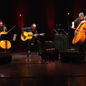 Image - Le Souffle des cordes – Renaud García-Fons © Emmanuel Ligner