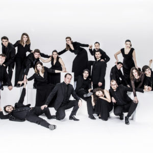 Images - Ensemble Aedes (c) William Beaucardet