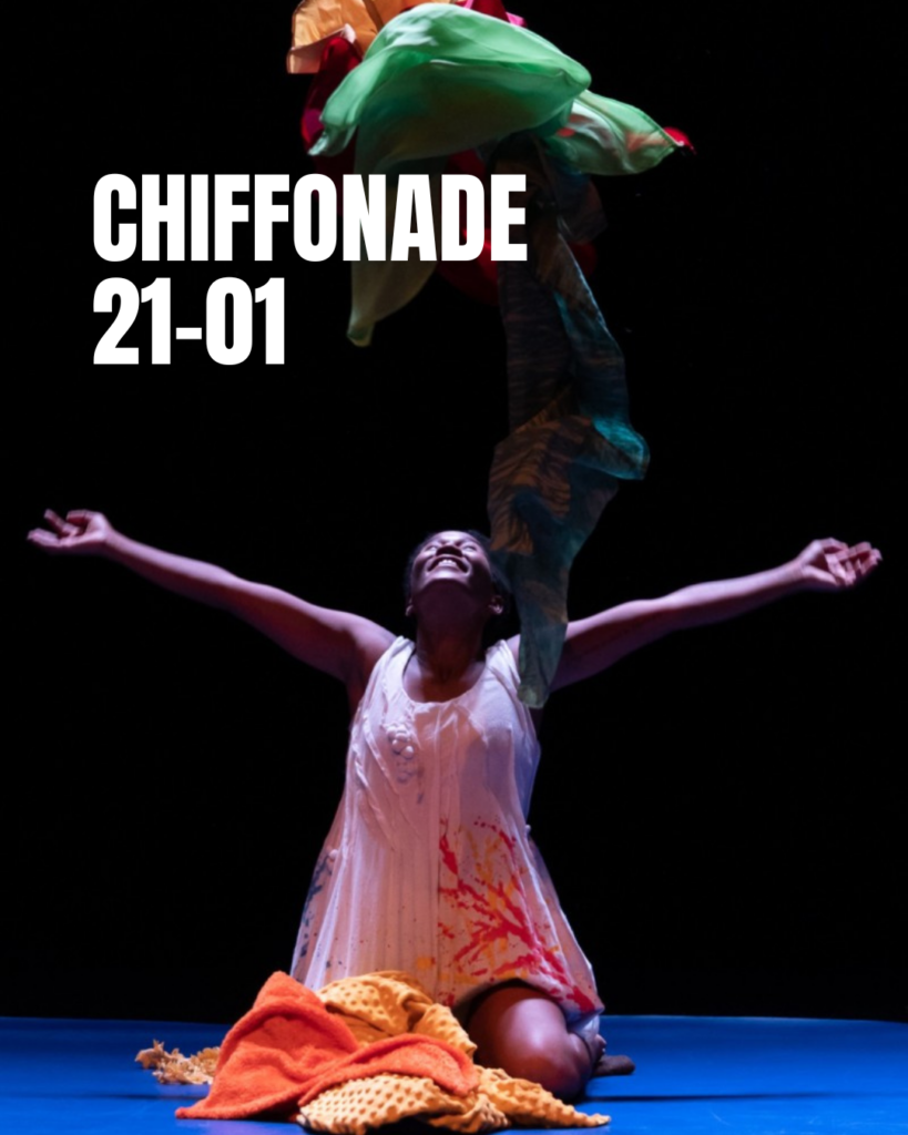 CHIFFONADE, UN SPECTACLE POUR LES PETITS